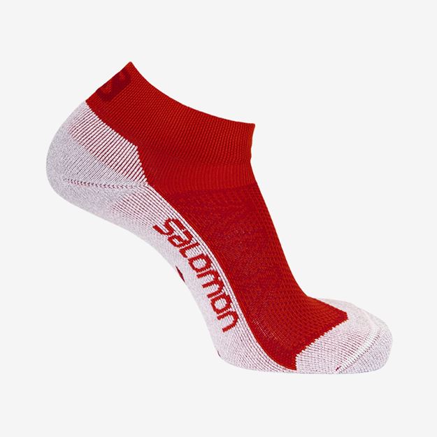 Picture of SALOMON - SPEEDCROSS LOW SOCKS